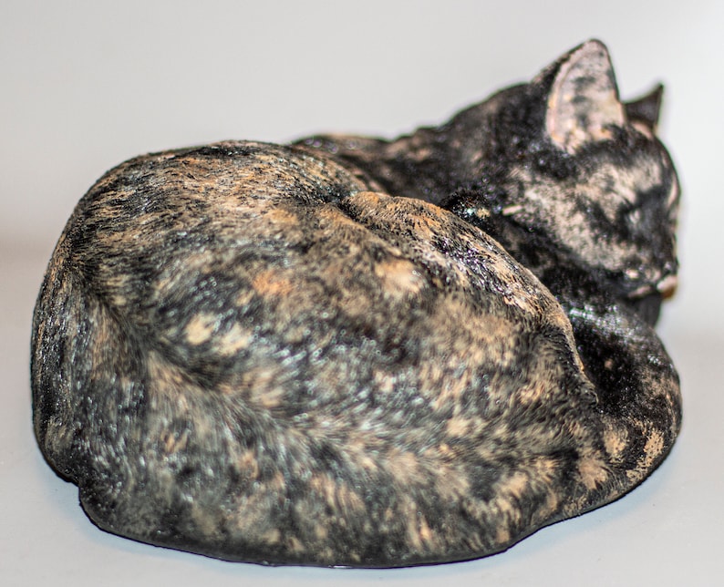 Puede incluir: Primer plano de un gato atigrado enroscado en una bola, durmiendo sobre una superficie blanca. El pelaje del gato es una mezcla de negro, marr&oacute;n y naranja.