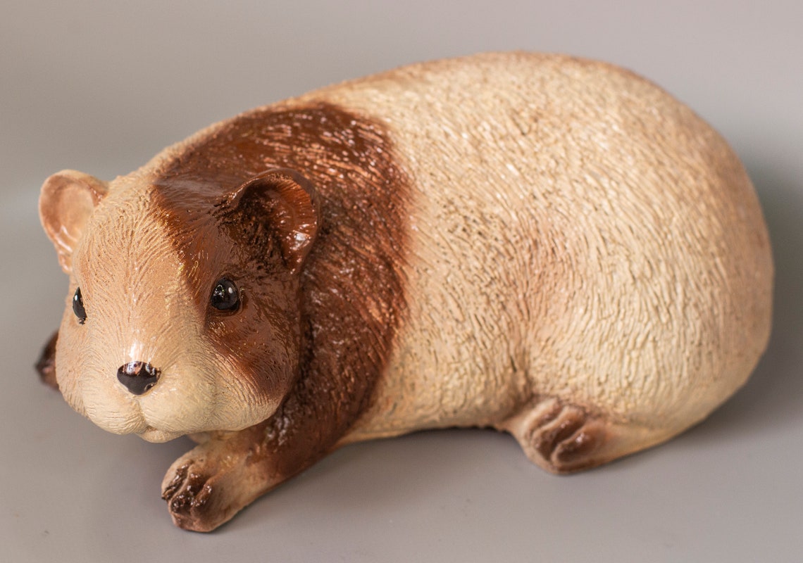 Guinea Pig Sculpture pet Memorial Statue outdoor Garden Etsy