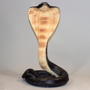 Cobra Snake Feng Shui Figurine *Wildlife Animal Statue *Unique Serpent Sculpture *Zodiac Gift *Garden Decor Outdoor *Viper Interior Keepsake