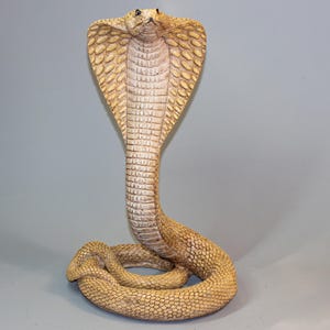 Cobra Snake Figurine *Wildlife Animal Statue *Unique Serpent Sculpture *Zodiac Gift *Feng Shui Garden Decor Outdoor *Viper Interior Keepsake