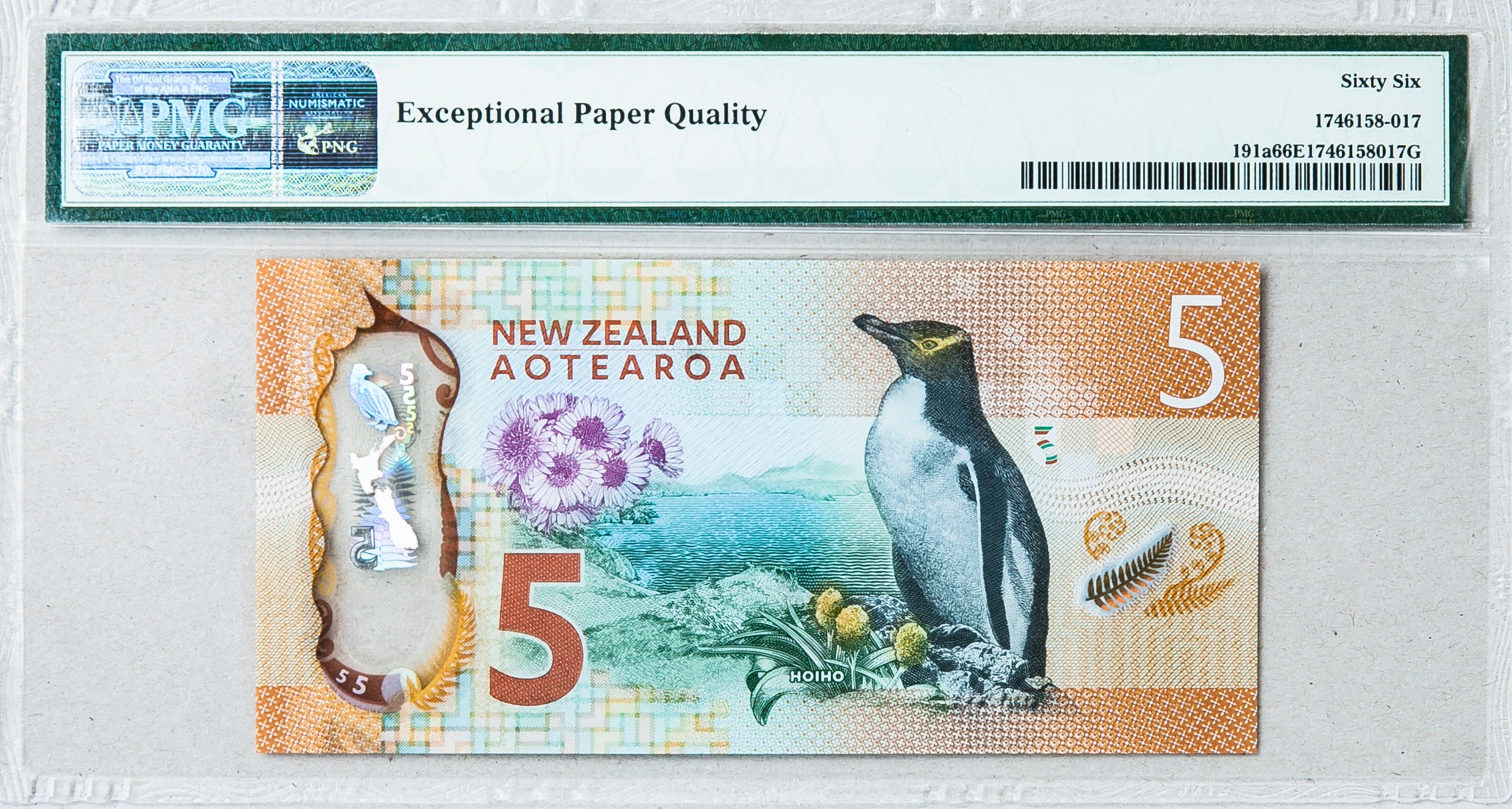 New Zealand Banknote *banknote Polymer *PMG Certificate