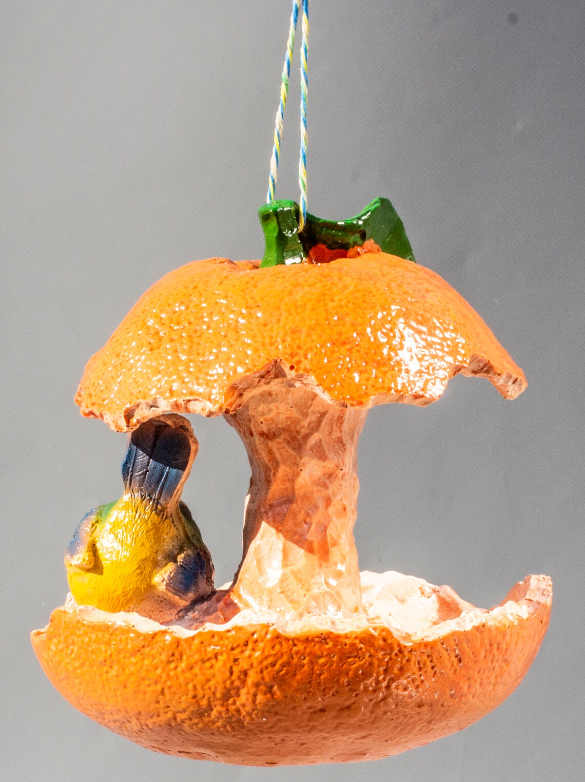 Orange Bird Feeder feeder Outdoor Hanging wild Bird Manger Etsy UK