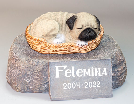 Dog ashes holder 2025