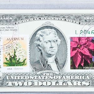 Zwei Dollarschein *US Papiergeld *Jungfrau Mary Dekor *Federal Reserve Note *2 Dollar Stempel Gem Unc *Poinsettia Zeichen *Unserer Lieben Frau Bild *Weihnachtsgeschenk