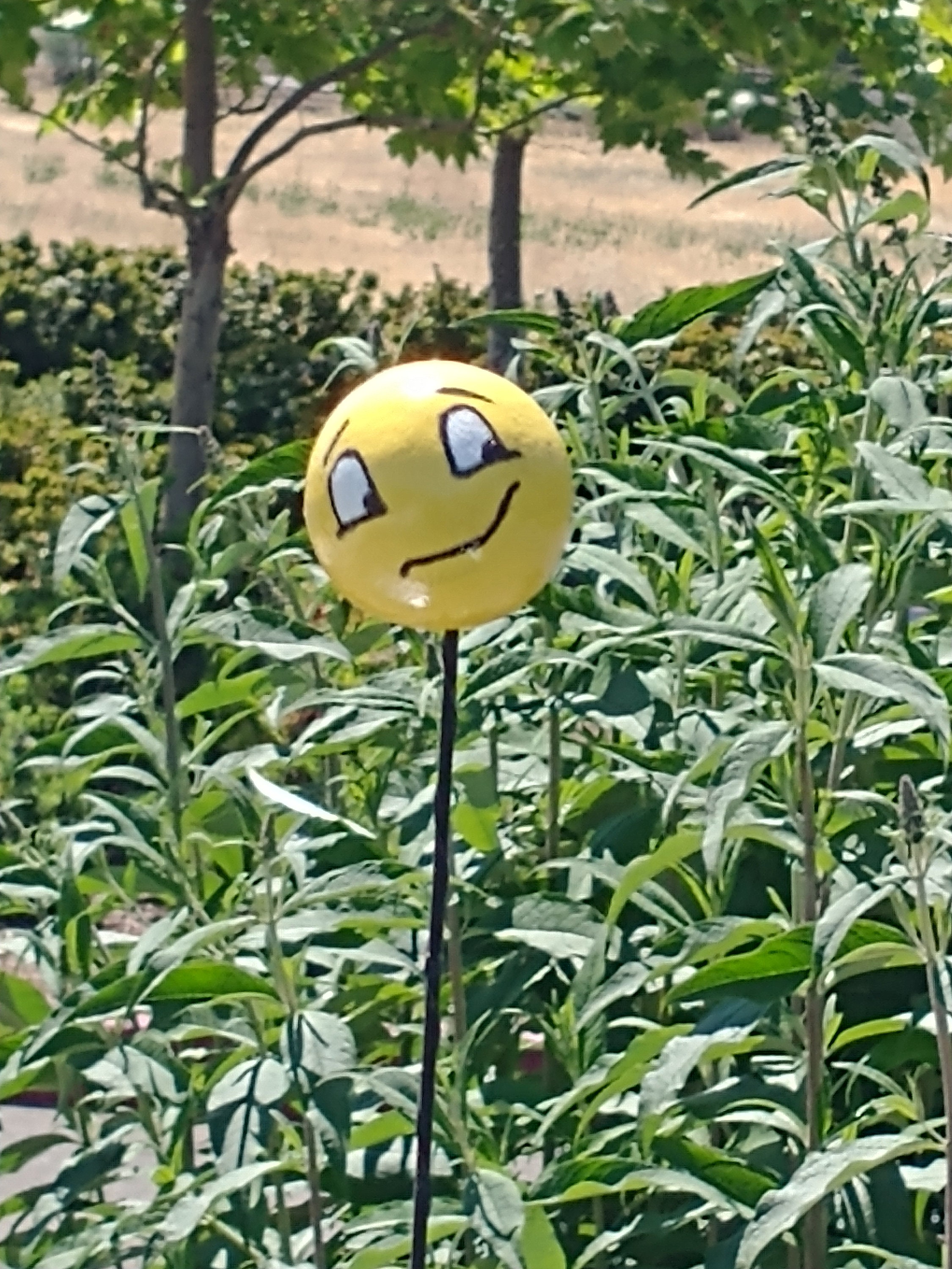 Glow in the Dark Emoji Antenna Balls, Handmade Antenna Balls multiple