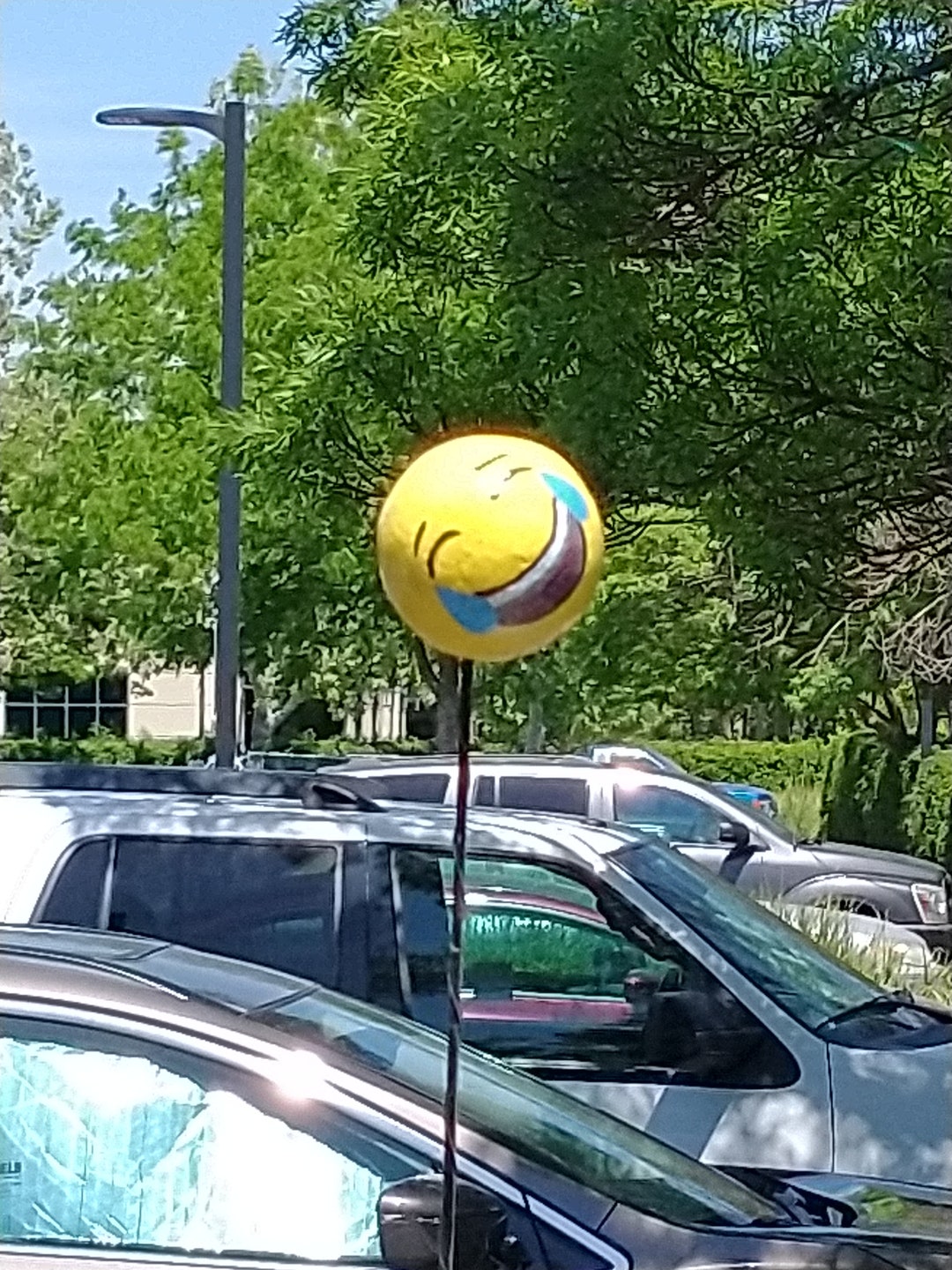 Glow in the Dark Emoji Antenna Balls, Handmade Antenna Balls multiple