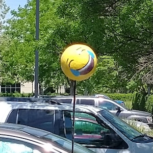 Hand Painted Glow In The Dark Emoji Antenna Ball