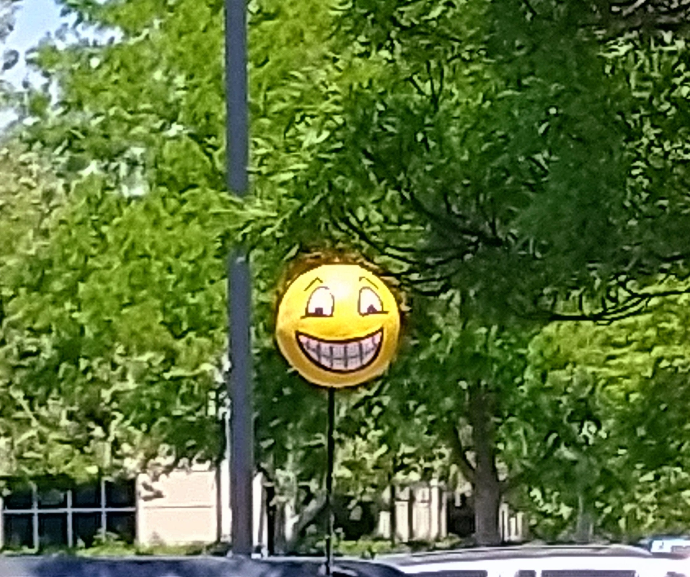 Glow in the Dark Emoji Antenna Balls, Handmade Antenna Balls multiple