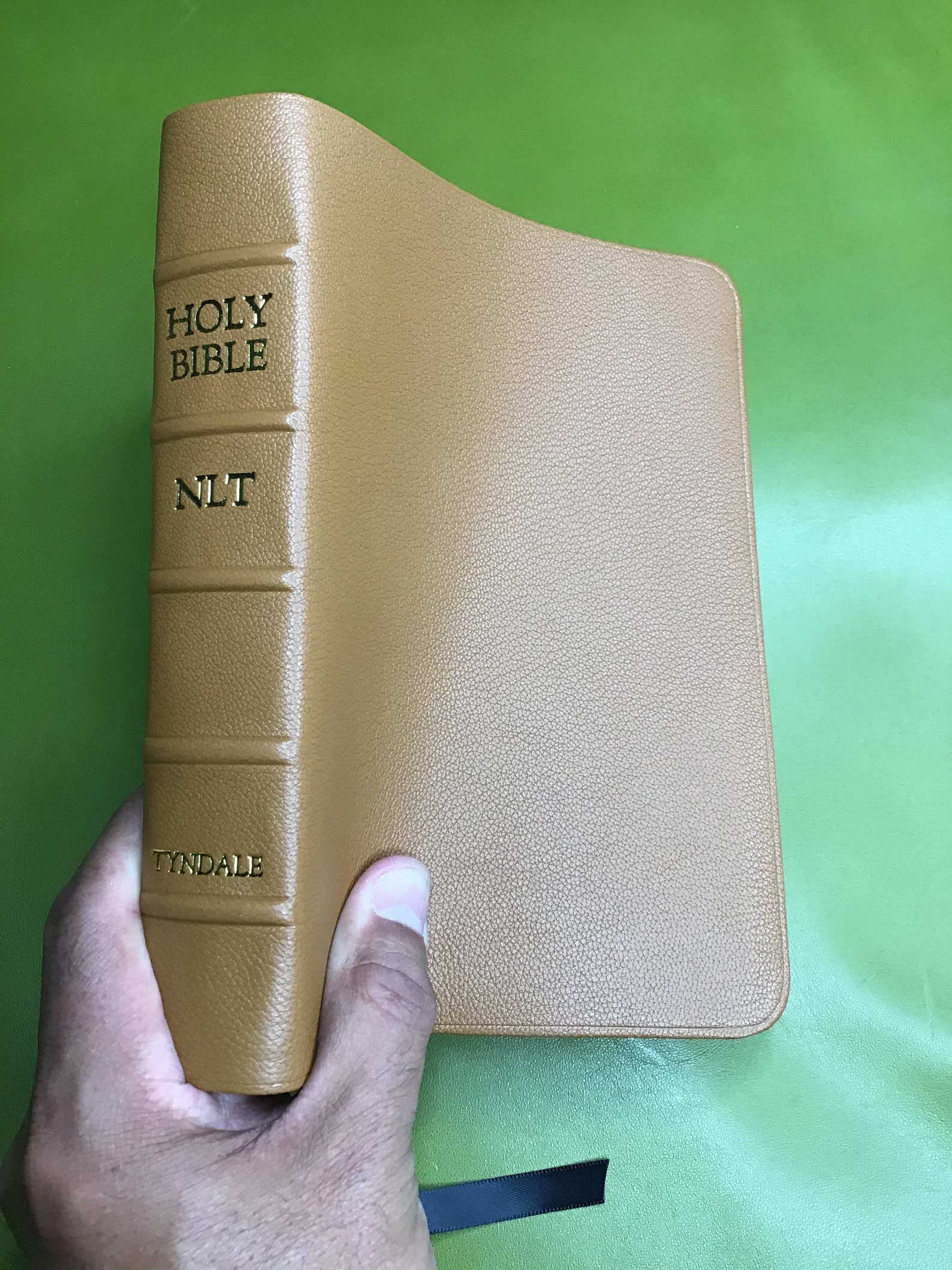 NLT Large Print Compact Bible in Sully Chèvre Goatskin Made Etsy