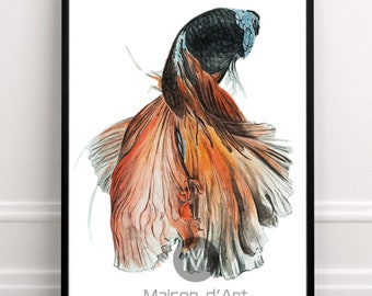 Betta Fish Watercolor Print: Hand-Drawn Animal Illustration