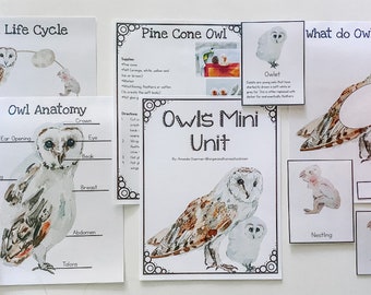 Owl Mini Unit