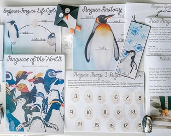 May include: Educational display featuring penguin-themed materials. Includes illustrations of penguin anatomy, life cycle, and geography. Also features a 3-digit number game and a bookmark with snowflake accents. Includes a small penguin figurine.