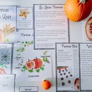 May include: A printable pumpkin mini unit for kids includes a pumpkin anatomy poster, life cycle poster, fact cards, and craft activities. The unit also includes a recipe for pumpkin oreo balls.