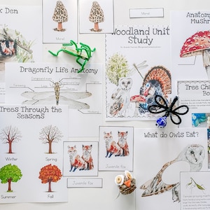 Woodland Unit Study