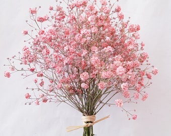 Rosa Schleierkraut Sträußchen getrocknet - Trockenblumen - Geschenkverpackung - 3 Größen