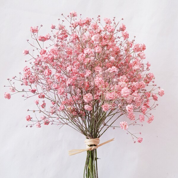 Rosa Schleierkraut Sträußchen getrocknet - Trockenblumen - Geschenkverpackung - 3 Größen