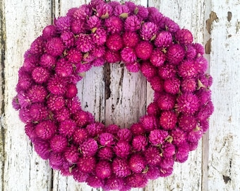 Gomphrena globe amaranth dried as a dried wreath