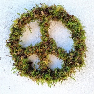 Moss Peace Sign Peace Sign