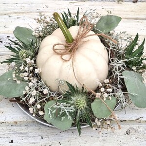 4er-Set Herbst-Küchentücher Mit Kürbis-Motiv – 45,7 X 66 Cm, Dickes Mikrofaser-Material, Saugstark & Dekorativ