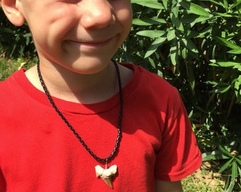 Versteende haaientand ketting hanger. Zwarte koordketting voor mannen, jongens en meisjes. Beste surfer-, verjaardags-, afstudeer- of vaderdagcadeau