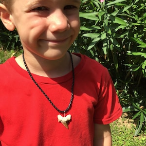 Versteende haaientand kettinghanger. Zwarte koordketting voor heren, jongens en meisjes. Beste surfer-, verjaardags-, afstudeer- of vaderdagcadeau