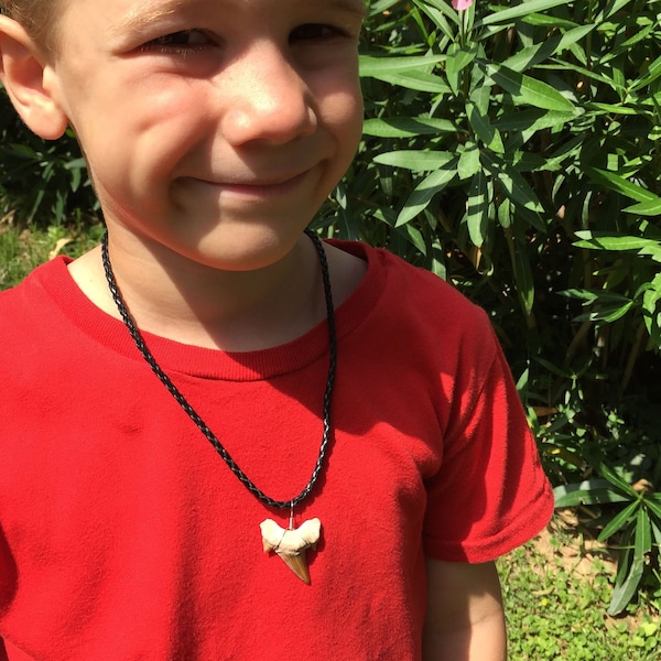 Fossilized Shark Tooth Necklace Pendant. Black Cord Necklace for Men, Boys & Girls. Best Surfer, Birthday, Graduation or Father's Day Gift