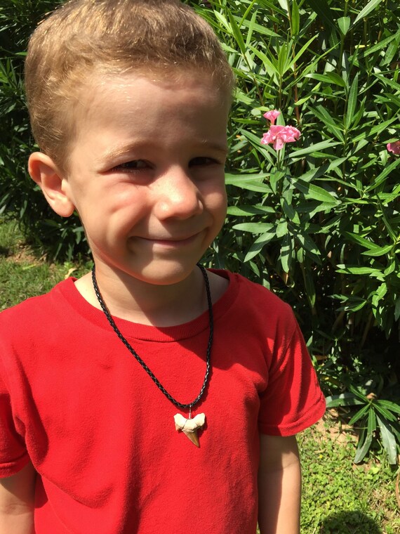 Fossilized Shark Tooth Necklace Pendant 