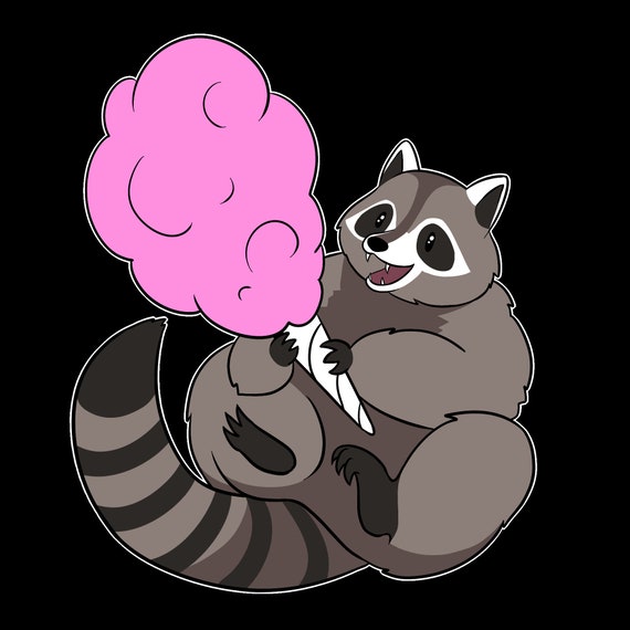 Roscoe Raccoon Cotton Candy Enamel Pin Etsy