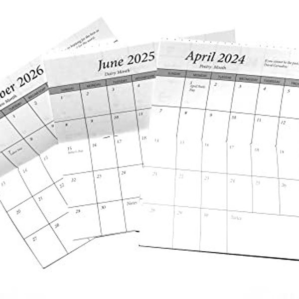 UPDATED 3 Year 2024 2025 2026 Pocket Calendar Planner Datebook Replacement Insert (Set of 1)