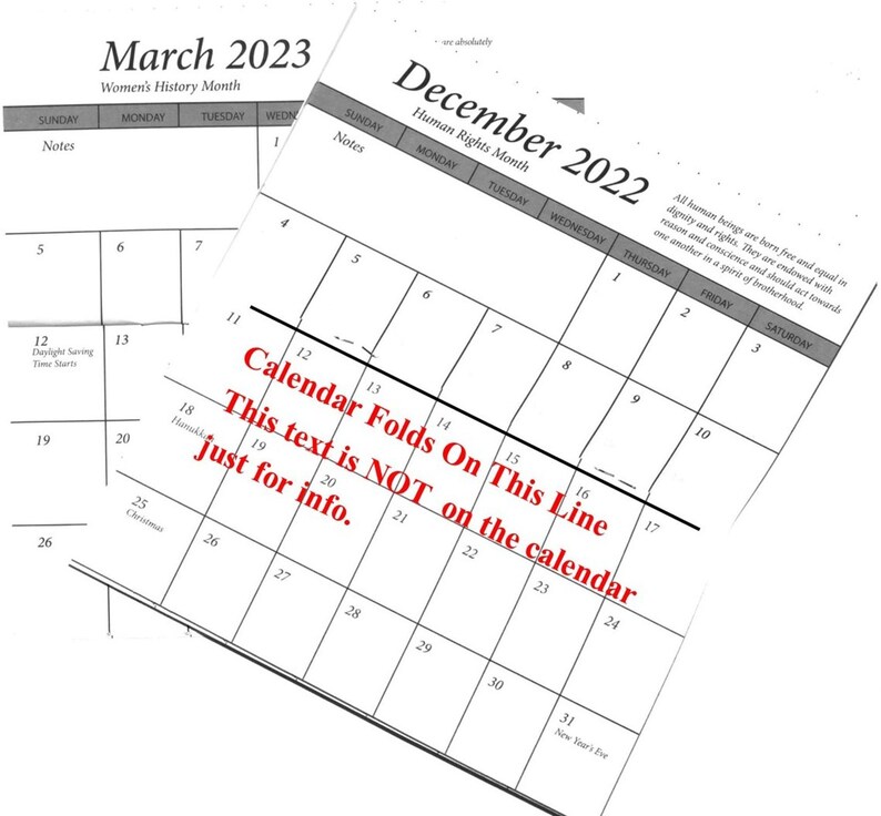 3 Year 2023 2024 2025 Pocket Calendar Planner Farm Cows Etsy Canada