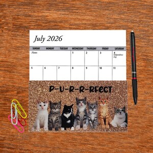 2 Full Years 2026 2027 Pocket Calendar Bling Glitter Cat Kitten Color Choice Planner Free Notepad