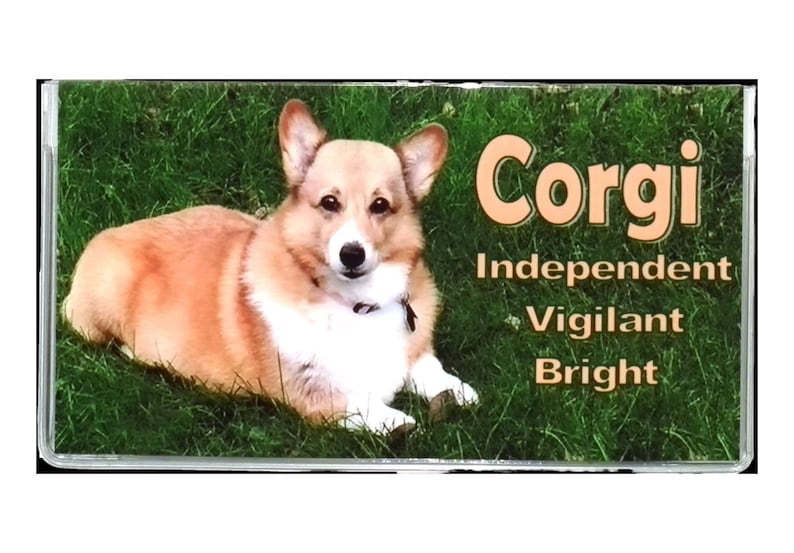 2 Year 2023 2024 Pocket Calendar Planner Dog Notepad Etsy Australia