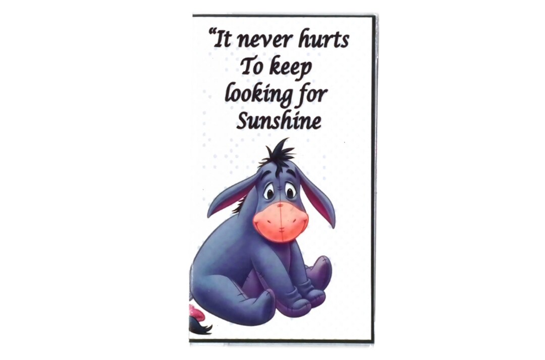 Eeyore it Never Hurts to Keep Looking for Sunshine 3 Year Pocket