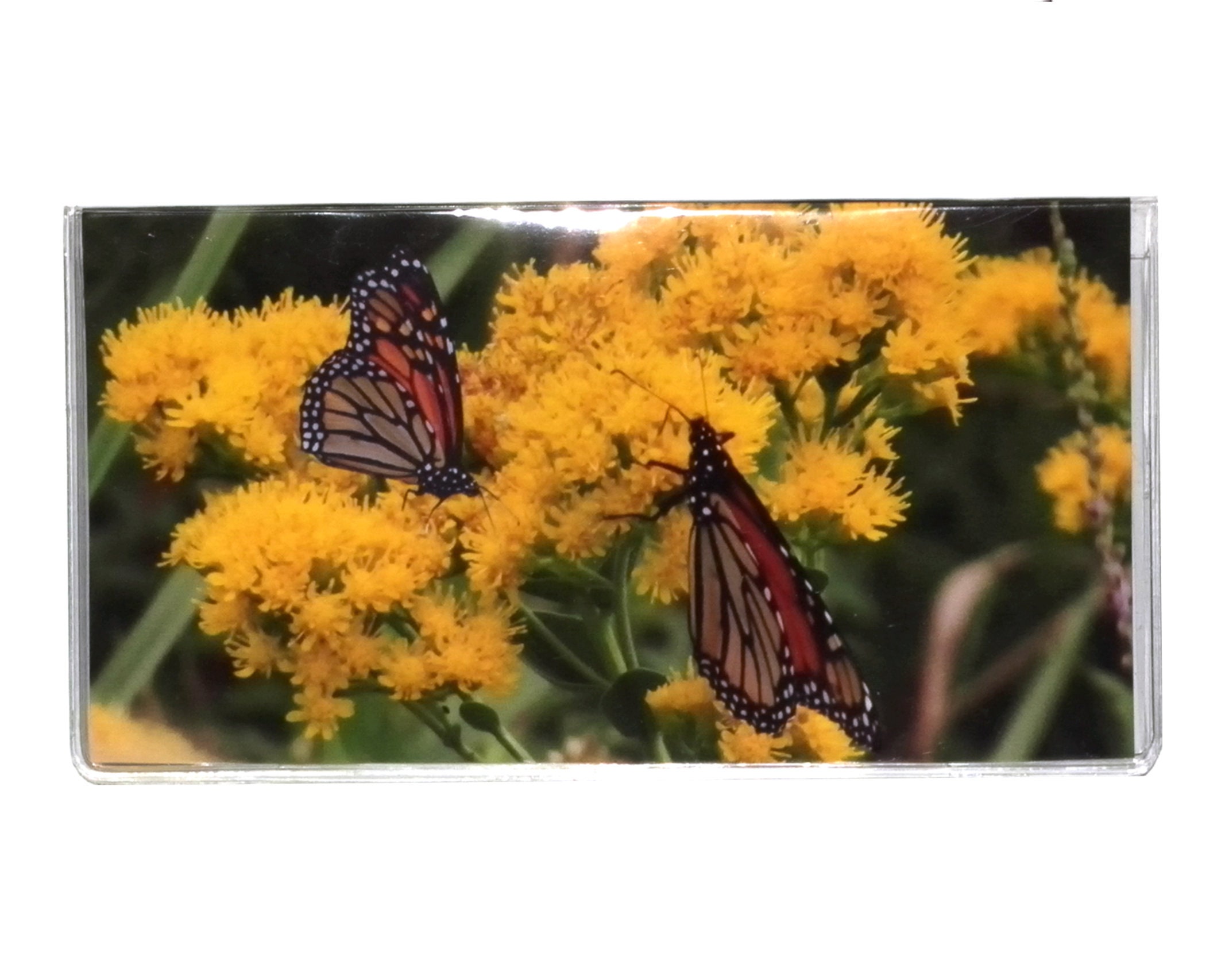 8 2 Year 2023 2024 Pocket Calendar Planner Monarch Butterfly Pair