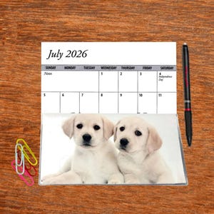 May include: A desk calendar for July 2026 featuring two adorable light-colored Labrador Retriever puppies. The calendar includes a black pen and colorful paper clips on a wooden surface. The date of Independence Day is highlighted.