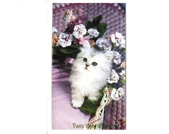 2 Year 2024 2025 Pocket Calendar Planner | White Kitten | Notepad