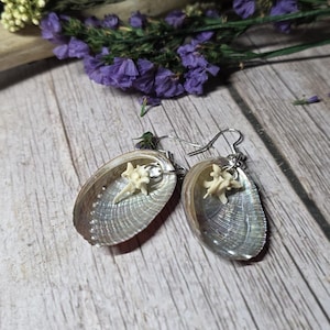 Abalone shell earrings with rattlesnake vertebrae stainless steel