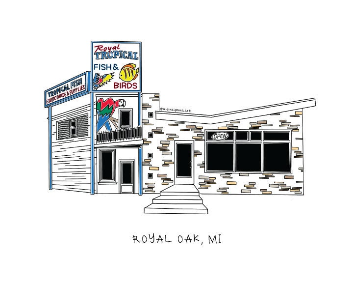 Royal Tropical Fish Birds