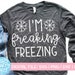 I'm Freaking Freezing SVG, Winter Cut File, Sarcastic Saying, Women's Cold Quote, Funny Mom Shirt Design, dxf eps png, Silhouette or Cricut 