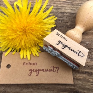 Stempel Schon gespannt? Textstempel Überraschung, Geburtstag Geschenk Verpackung, Stempel Geschenk Anhänger, Mitbringsel für Freundin