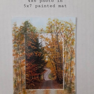 Walk in the woods