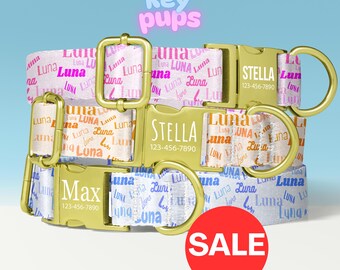 Luna Dog Collar Leash Set with Free Personalized Engraved Pet Name, Luna Name, Pink, Orange, Blue, Female, Small Medium Large - KP-85