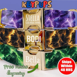 May include: Three dog collars with a lightning bolt pattern. The collars are gold with a personalized name tag and phone number. The collars are purple, yellow, and green.