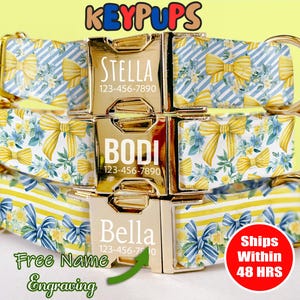 May include: Three yellow and blue dog collars with gold name tags. The name tags are engraved with the names "Stella", "Bodi", and "Bella" and phone numbers. The collars feature a yellow bow pattern.