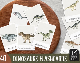 Flashcard sui dinosauri/carte Montessori, stampabili a casa