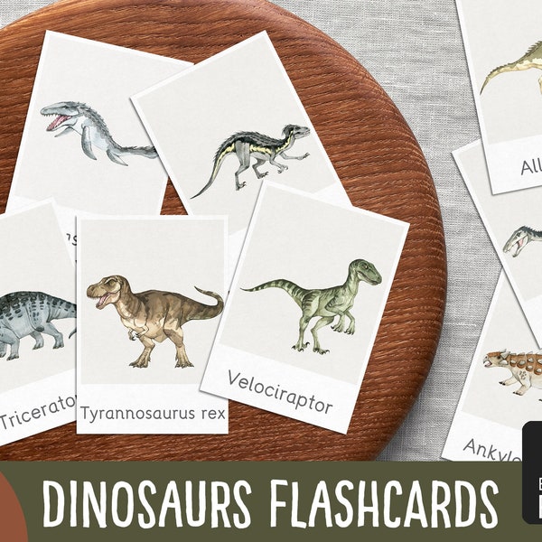 Dinosaur flashcards | Montessori cards, homeschool printable