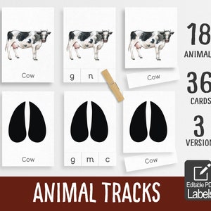 Animal Tracks Cards,  Montessori material, matching game, preschool printable, homeschool activity, editable