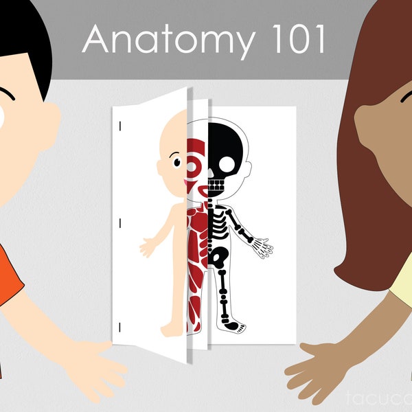 Human body anatomy | body schemes open book | Anatomy 101 | kids activity | toddlers