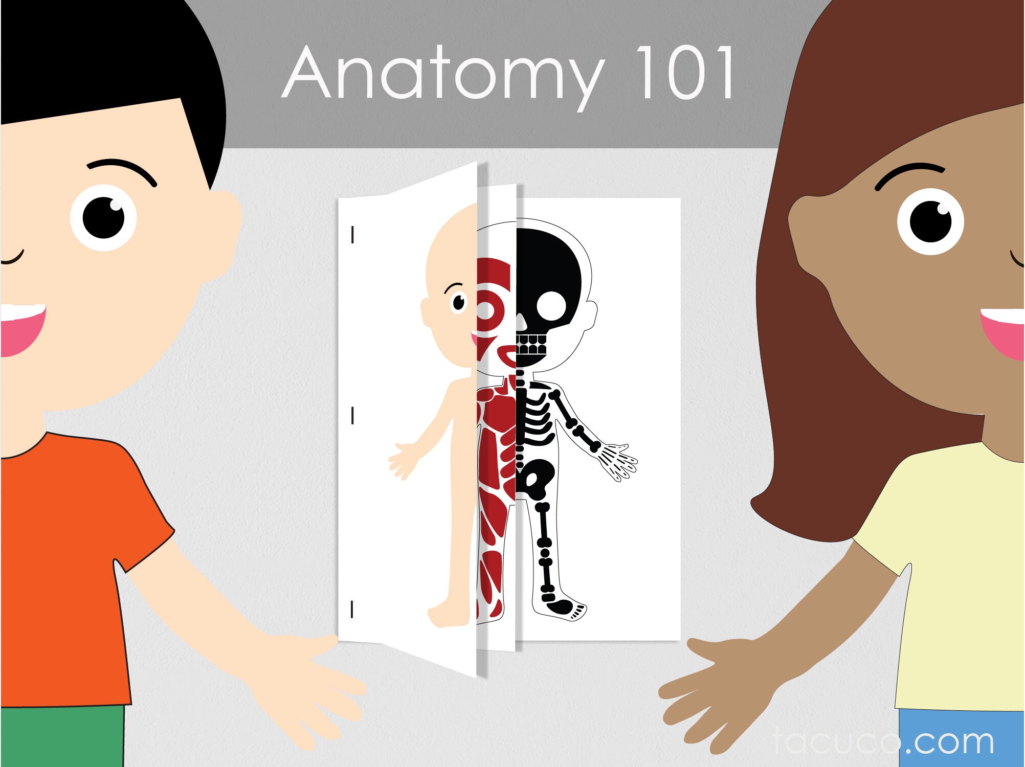 Human Body Anatomy Body Schemes Open Book Anatomy 101 - Etsy