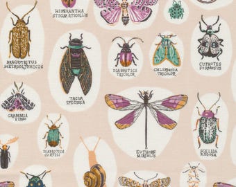 Tela de algodón orgánico de 50 cm con escarabajos, libélulas y caracoles, Cloud9 Fabrics